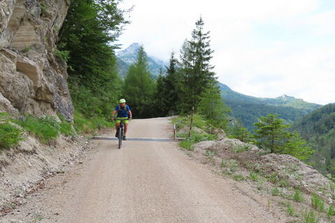Forststraßen Autobahn