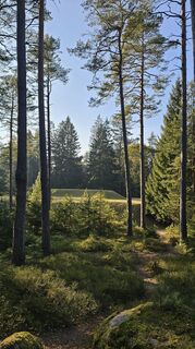 Fotografija s spletne strani Andrea 36 na poti