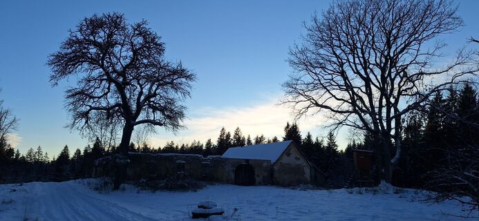 Foto de Deutsch Margit a lo largo del recorrido