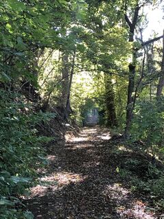 Fotografija s spletne strani Eduard Hildenbrandt na poti