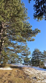 Photo de Klaus Wolfinger le long du parcours