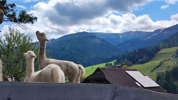 Fotografie z Elly23 na trase