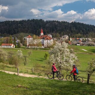 Begunje