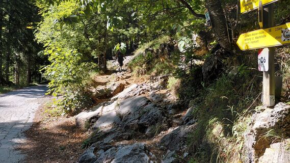 Photo de Wolfgang Arlic 1 le long du parcours