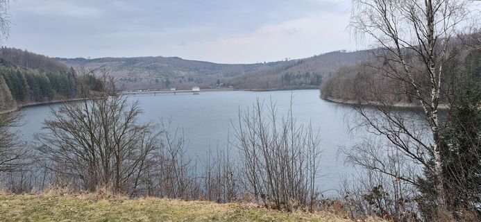 Fotografia z Helmut Damm 1 na trase