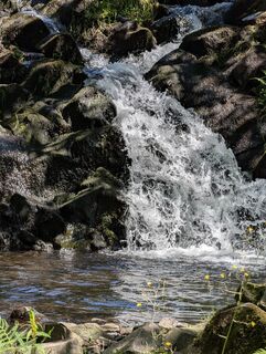 Photo de Daniel Wilhelm Rothe le long du parcours