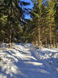 Photo from ReginaSt along the tour