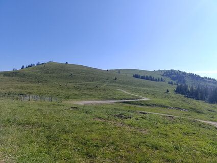Foto von Meli entlang der Tour