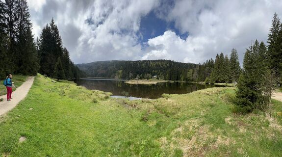 Kuva osoitteesta Volki F. matkan varrella