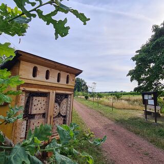 Streuobstwiese mit Insektenhotel