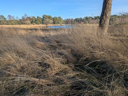 Photo de Matje Derks le long du parcours