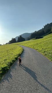 Foto von Alexander Burth entlang der Tour