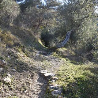Weg - Eze