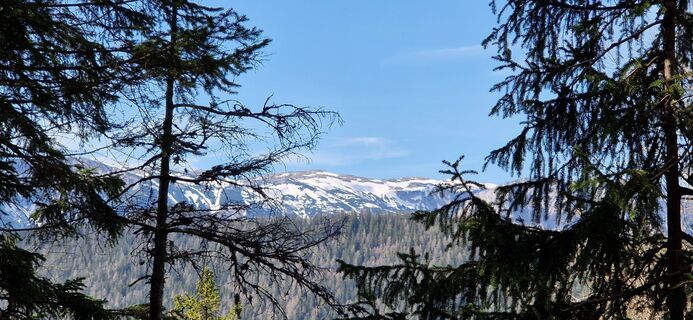 Foto von Utassy Tóth Johanna entlang der Tour