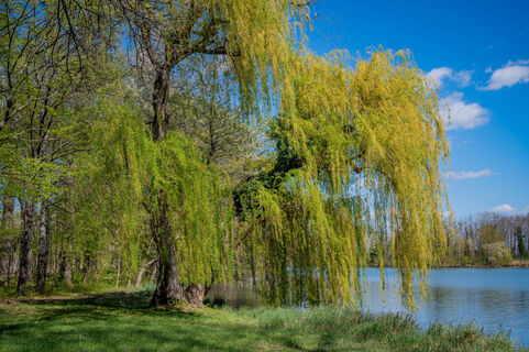 Foto von Ekhard Oberleitner entlang der Tour