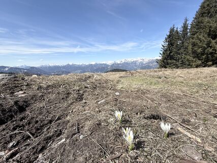 Fotografie z Anton Lilek na trase