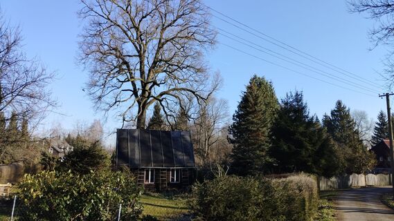 Fotografija s spletne strani Jara D. na poti