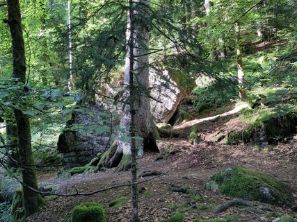 Fotografie z Manuel_74 na trase