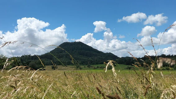 Blick auf den Rechberg