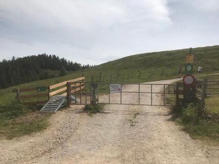 Bikebrücke Holzalm