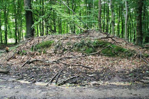 Römisches Hügelgrab