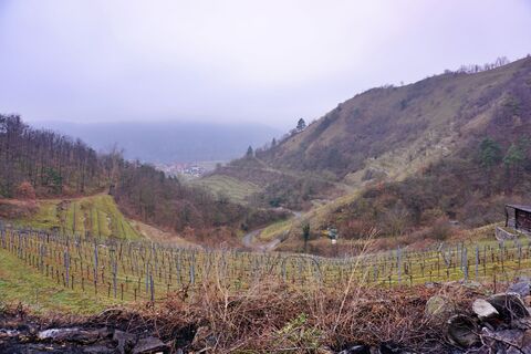 Zdjęcie z Walter Köllner wzdłuż trasy