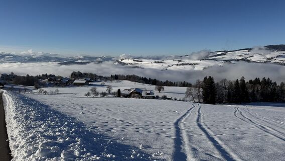 Zdjęcie z peter_oe wzdłuż trasy