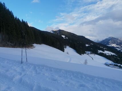 Photo de Turbinio le long du parcours