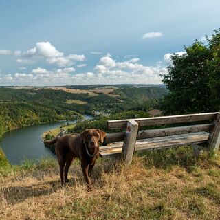 Sitzgelegenheit an der Hohen Leite