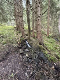 Photo de Silkrie ?✌️ le long du parcours