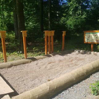 Naturerlebnis Wald Meerhof - Weitsprung