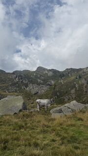 Foto von Wgueth entlang der Tour