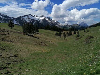 Photo de luyyy le long du parcours