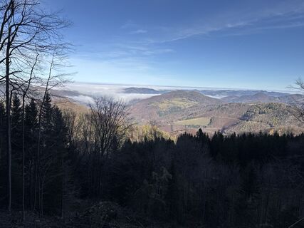 Foto von Willibald BRIZA entlang der Tour