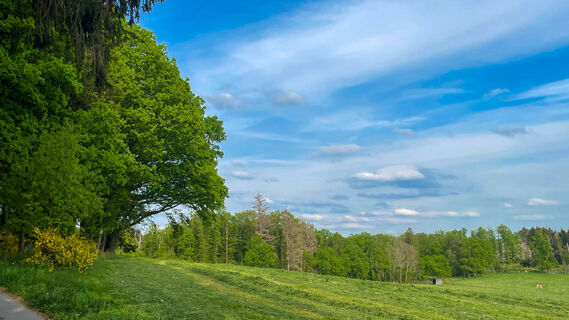 20220512_Jagdhornweg_Valbert (22).jpeg