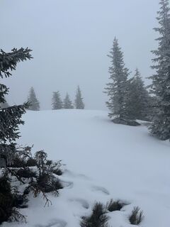 Foto von Carola Krems entlang der Tour