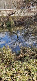 Foto von Urs Thoeny entlang der Tour