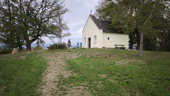 Foto von Blackmagic entlang der Tour