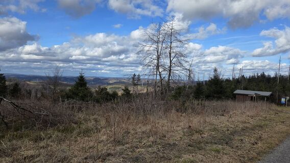 Zdjęcie z Gabriele Wagener wzdłuż trasy