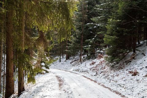 Wandern auf geräumten Winterwanderwegen