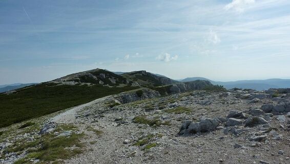 Panoramablick vom Predigtstuhl