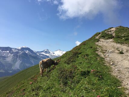 Foto de Ralf Umminger a lo largo del recorrido