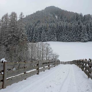 Stava - Guagiola