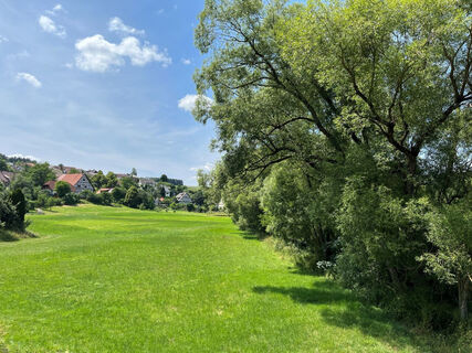 OrtsansichtFloezlingen Eschach