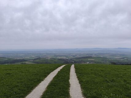 Foto da David Hincziza lungo il tour
