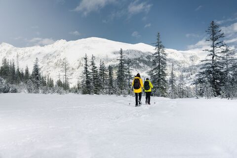Unterwegs im Winterwald Richtung Hochplateau