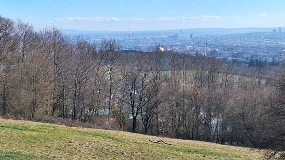 Photo de Regina Fleischmann le long du parcours