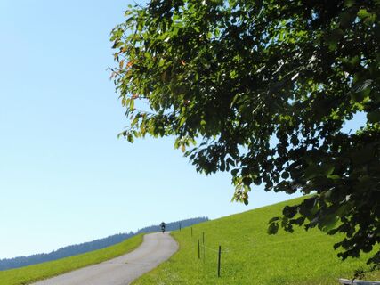 MTB 2 Grünhüttentour