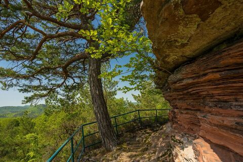 Naturdenkmal Rotenstein bei Münchweiler an der Rodalb