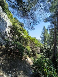 Photo de Mirco moretti le long du parcours